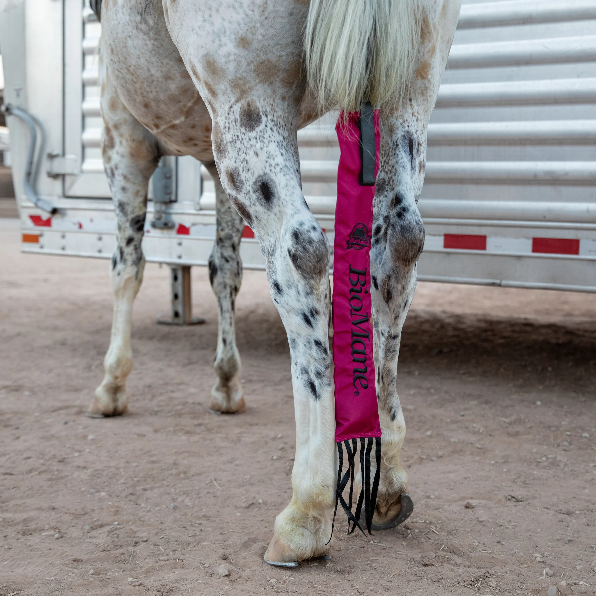 Tailbag - Image 13