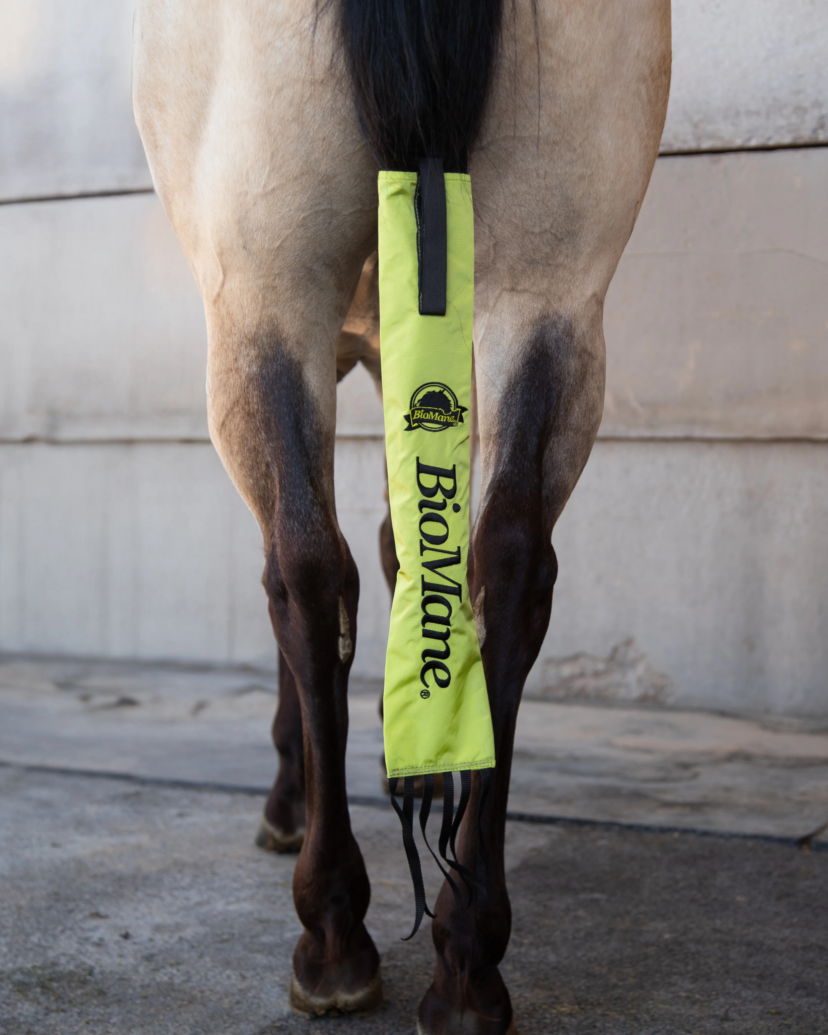 Tailbag - Image 22